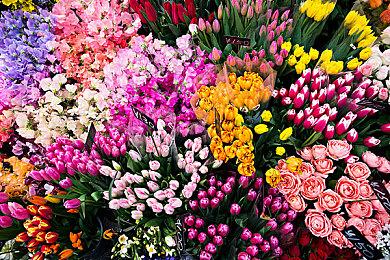 光荣《赛马大亨9：2022》新系统情报 体验版近期上线